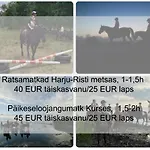 Saunaga Suur Puhkemaja Uneallikal, Harjumaal, Kuni 11 Inimest * Pae