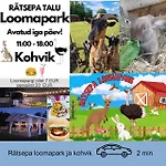 Saunaga Suur Puhkemaja Uneallikal, Harjumaal, Kuni 11 Inimest *