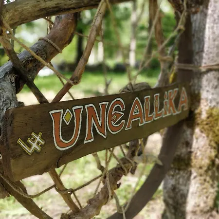 Uneallika Peamaja *