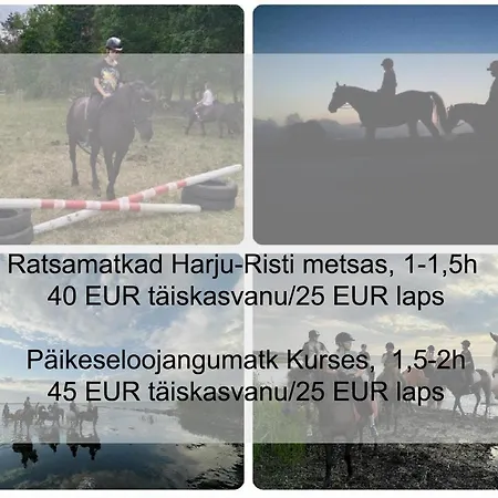 Saunaga Suur Puhkemaja Uneallikal, Harjumaal, Kuni 11 Inimest * Pae