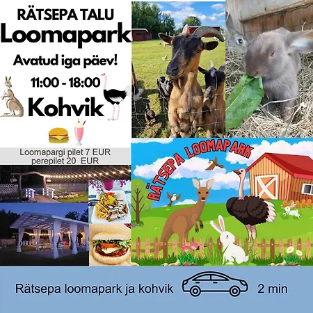 Saunaga Suur Puhkemaja Uneallikal, Harjumaal, Kuni 11 Inimest *