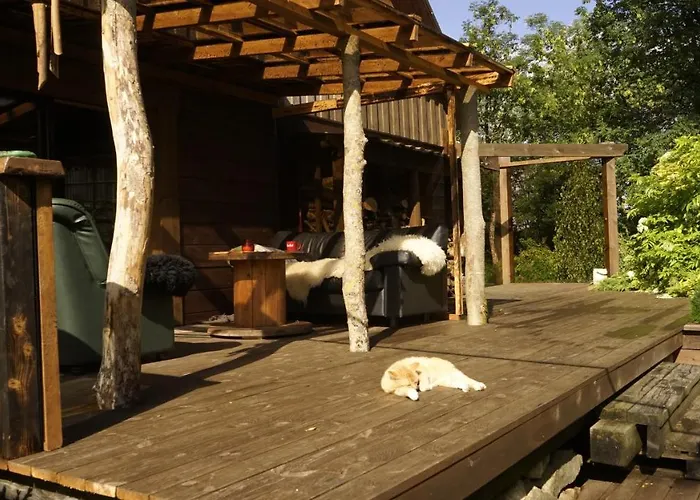 Saunaga Suur Puhkemaja Uneallikal, Harjumaal, Kuni 11 Inimest Vila Pae