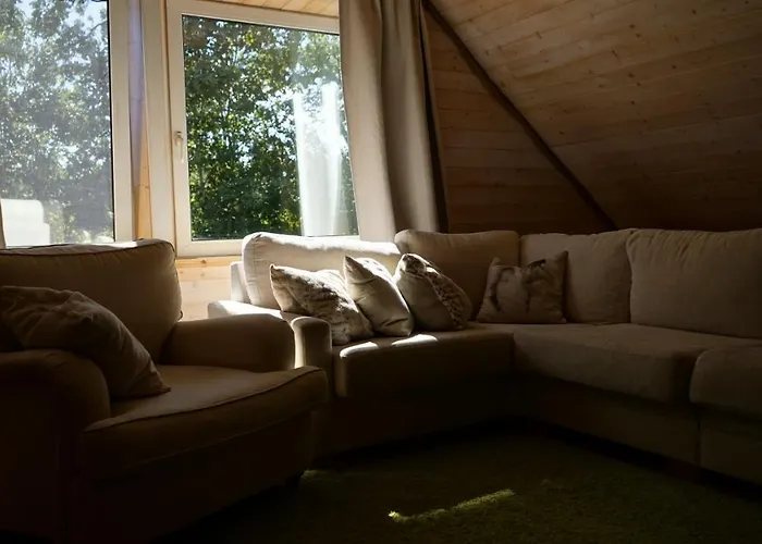 Saunaga Suur Puhkemaja Uneallikal, Harjumaal, Kuni 11 Inimest Vila