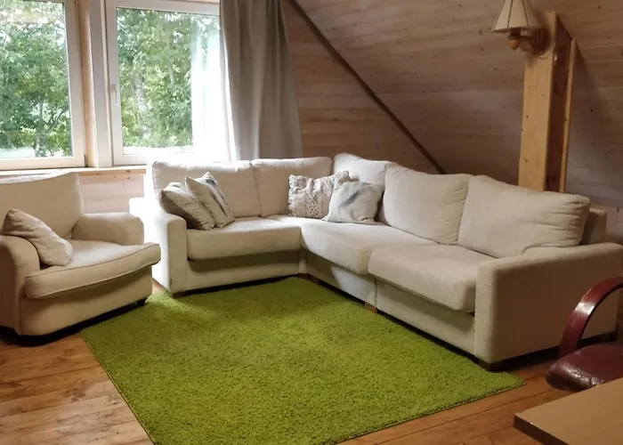 Saunaga Suur Puhkemaja Uneallikal, Harjumaal, Kuni 11 Inimest Vila