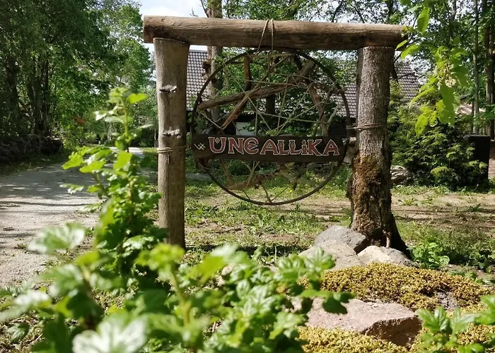 Vila Saunaga Suur Puhkemaja Uneallikal, Harjumaal, Kuni 11 Inimest *