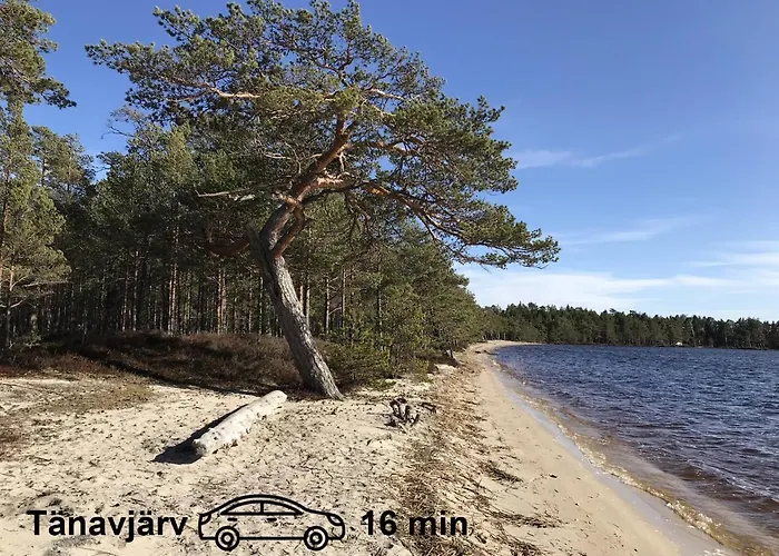 Saunaga Suur Puhkemaja Uneallikal, Harjumaal, Kuni 11 Inimest Vila *