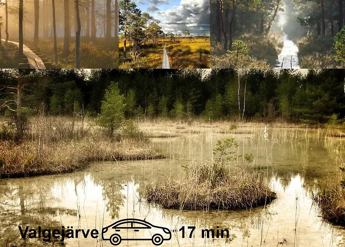 Saunaga Suur Puhkemaja Uneallikal, Harjumaal, Kuni 11 Inimest Pae