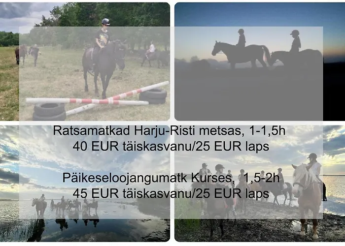 Saunaga Suur Puhkemaja Uneallikal, Harjumaal, Kuni 11 Inimest * Pae