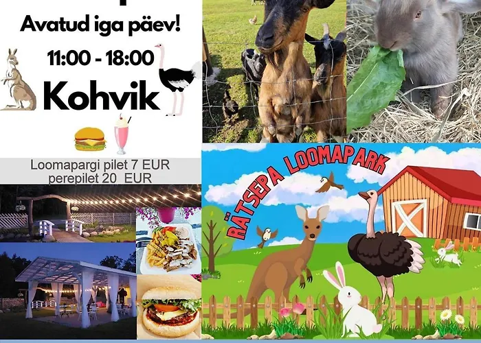 Saunaga Suur Puhkemaja Uneallikal, Harjumaal, Kuni 11 Inimest *